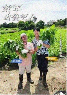 放映单案例图：书房角落的超短焦主机与抗光幕组合